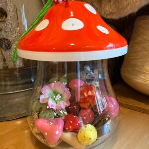Brand New Mushroom Terrarium with Colorful Accents